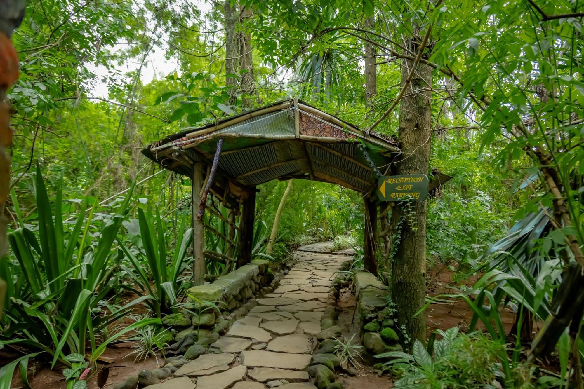 Fravan Eco Resort By Apogee ルヘンゲリ エクステリア 写真