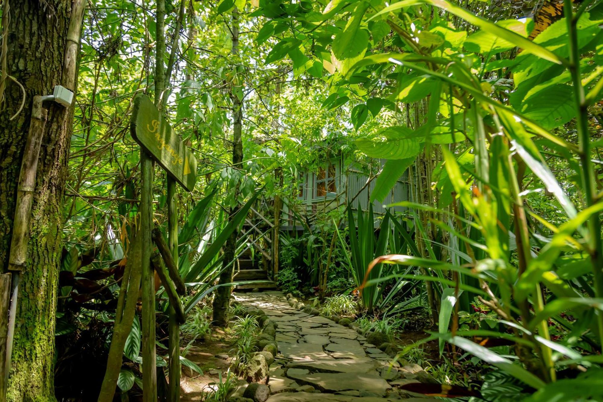 Fravan Eco Resort By Apogee ルヘンゲリ エクステリア 写真